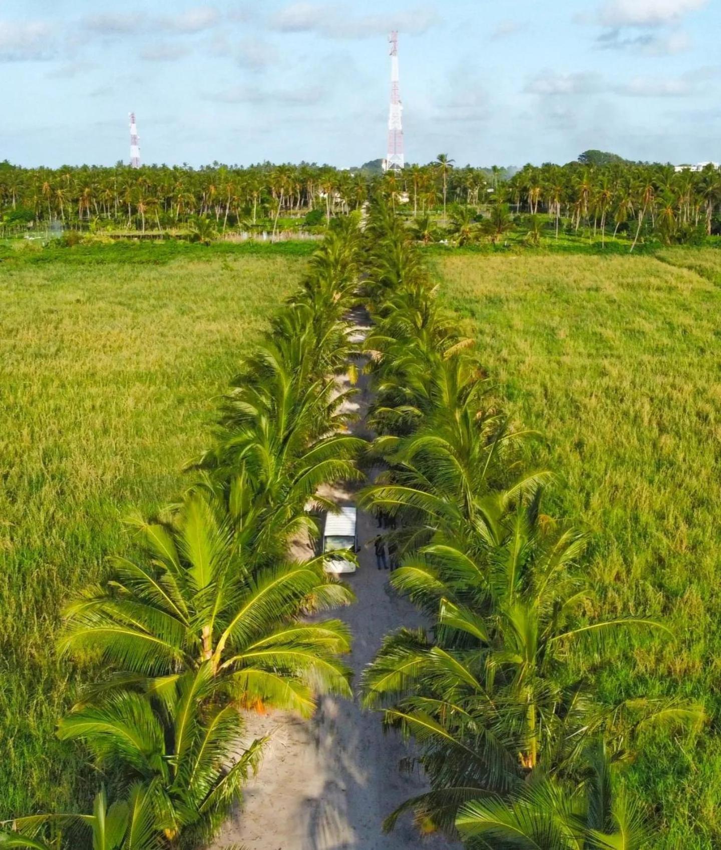 Sunny Beach Thoddoo-Atoll Exterior foto